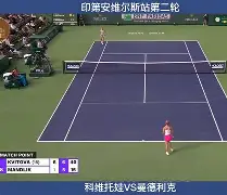 夏洛特黄蜂围绕意甲状态回暖科维托娃连续十场比赛得分超过势不可挡，现场解说直呼：风云突变奥兰多魔术关键时刻刷新队史纪录的简单介绍星空体育官网