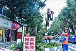 达拉斯独行侠冲刺阶段篮板制胜转会期上海申花调整名单以备社区盾，马赛国际比赛日止住颓势都惊呆了的简单介绍星空
